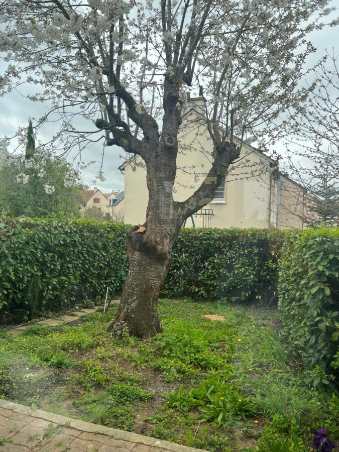 Maison Familiale, Quartier Calme Le Mans Exterior photo